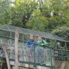 Wienwoche 045